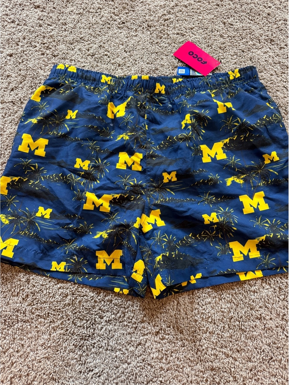 Men's FOCO University of Michigan Swim Trunks Size Large
